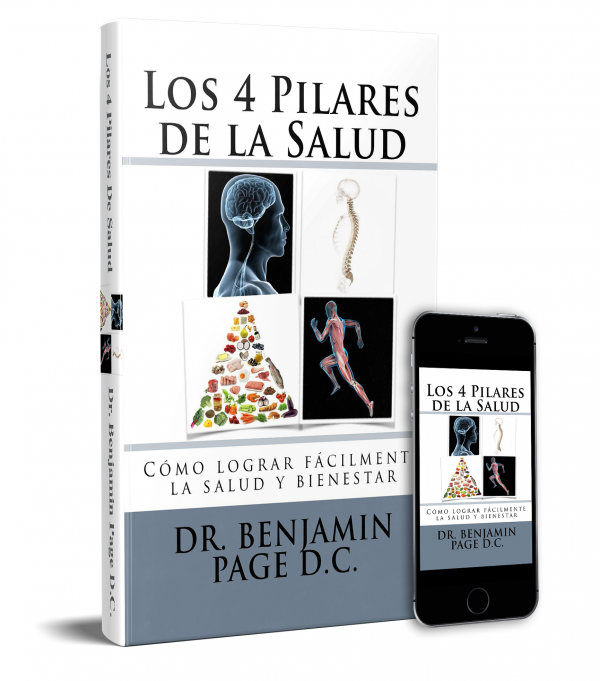 Los 4 Pilares de la Salud