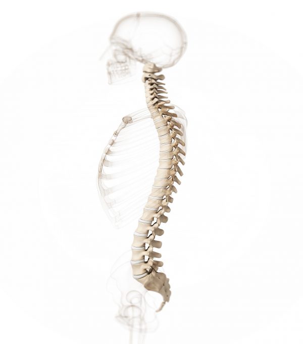 Spinal Care